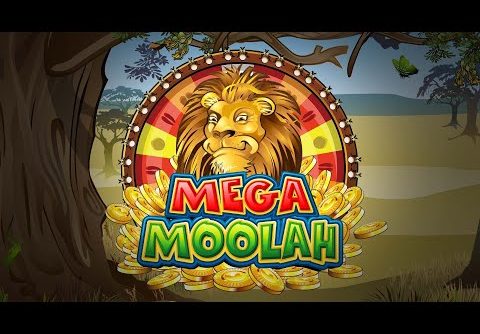 Mega Moolah Big Win – Microgaming Progressive Jackpot Slot