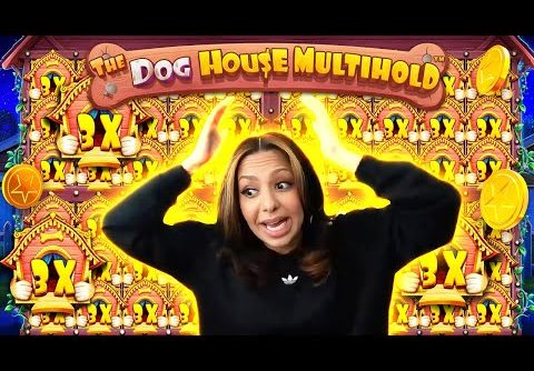 *WINNING STREAK* BIG WINS ON NEW DOG HOUSE MULTIHOLD SLOT (PRAGMATIC PLAY)