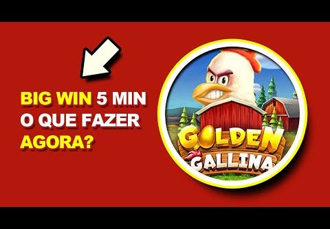 BIG WIN EM 5 MINUTOS O QUE FAZER AGORA? SLOT GOLDEN GALLINA