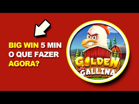 BIG WIN EM 5 MINUTOS O QUE FAZER AGORA? SLOT GOLDEN GALLINA