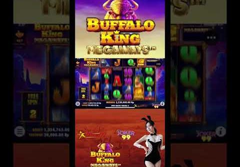 Info Slot Gacor Hari InI || Buffalo King Megaways Big Win