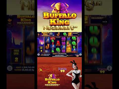 Info Slot Gacor Hari InI || Buffalo King Megaways Big Win