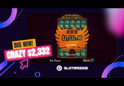 Stake.com – Crazy $2,332 BIG WIN x Slot Game x Born WILD