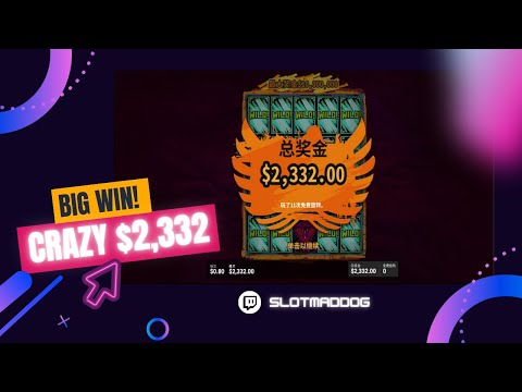 Stake.com – Crazy $2,332 BIG WIN x Slot Game x Born WILD