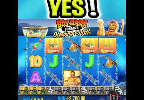 BIG BASS BONANZA 🔥 SLOT GOLDEN COLLECTOR 😮 MEGA WINS FREE SPIN‼️ #shorts