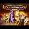 Buffalo Mania Megaways slot by Red Tiger – Gameplay