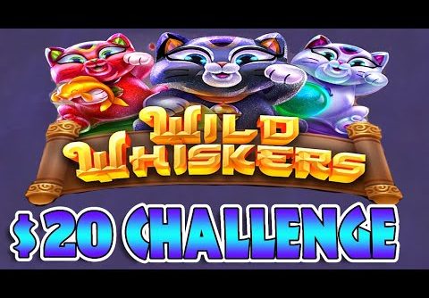 Making a Profit Challenge $20 on Wild Whiskers MEGA WIN Chumba Casino