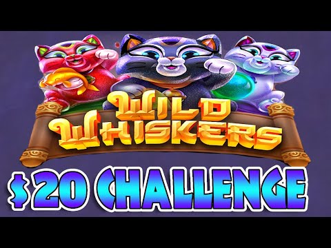 Making a Profit Challenge $20 on Wild Whiskers MEGA WIN Chumba Casino