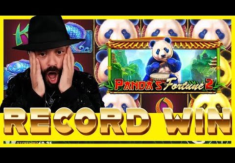 ROSHTEIN HUGE RECORD WIN ON PANDA’S FORTUNE 2!!