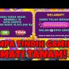 SLOT GACOR HARI INI TEORI TTG BUY BET SULTAN BIKIN BUAHNYA MELEDAK MELETUP! SWEET BONANZA ORIGINAL