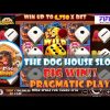 The Dog House Slot BIG WIN!!💎Pragmatic Play💎www.fifo88e.com