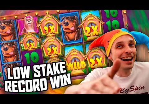DOG HOUSE MEGAWAYS LOW STAKE RECORD WIN  – Community Biggest Wins #29
