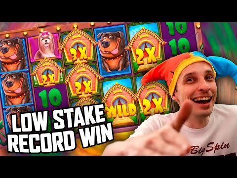 DOG HOUSE MEGAWAYS LOW STAKE RECORD WIN  – Community Biggest Wins #29