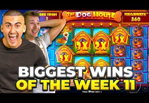 IT’S FULL SCREEN TIME!!! Our Biggest Wins From Last Week Are INSANE!