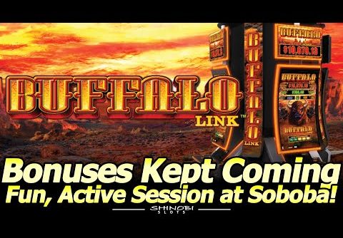 Buffalo Link Bonuses Kept Coming! Fun, Active Session at Soboba Casino