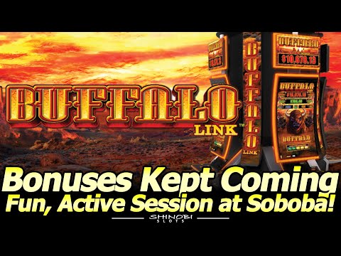Buffalo Link Bonuses Kept Coming! Fun, Active Session at Soboba Casino