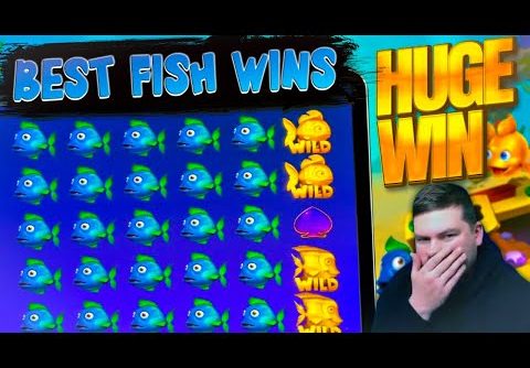 BIG WINS on FISHING SLOTS!! 🎣 Golden Fish Tank 2, Net Gains and MORE!