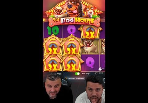 INSANE BIG WIN ON THE DOG HOUSE SLOT MACHINE!! #shorts