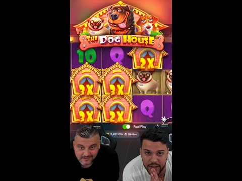 INSANE BIG WIN ON THE DOG HOUSE SLOT MACHINE!! #shorts