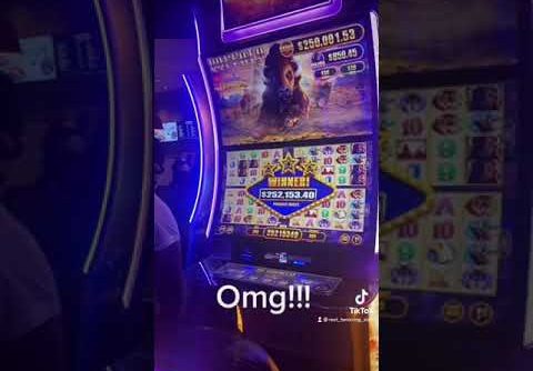 $250,000 Grand Jackpot on Buffalo slot! #Shorts #Short