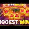 OUR RECORD WINS On DOG HOUSE MEGAWAYS!! (RARE 5 SCATTER BONUS)