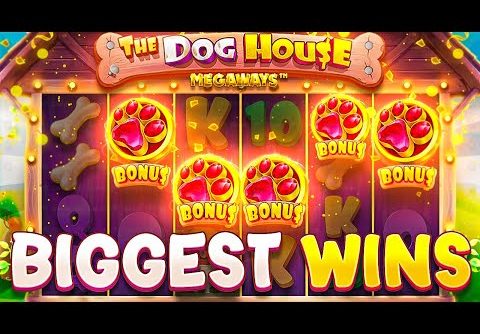 OUR RECORD WINS On DOG HOUSE MEGAWAYS!! (RARE 5 SCATTER BONUS)