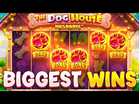 OUR RECORD WINS On DOG HOUSE MEGAWAYS!! (RARE 5 SCATTER BONUS)