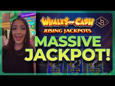 MASSIVE Jackpot 😱 My Biggest Win Ever! On Whales Of Cash Slot Machine!