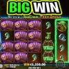 VOODOO MAGIC SLOT 😮 €250 MAX BET BIG WIN BONUS‼️ #shorts