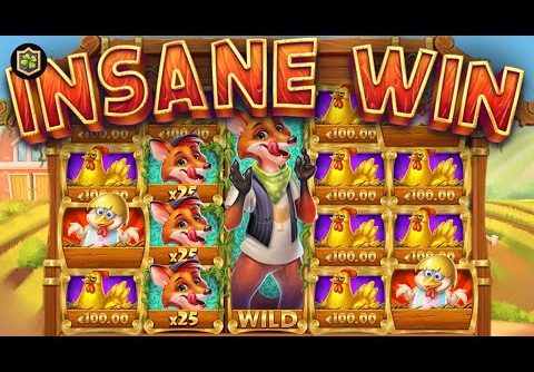 EPIC Big WIN New Online Slot 💥 Greedy Fox 💥 Stakelogic – Casino Supplier