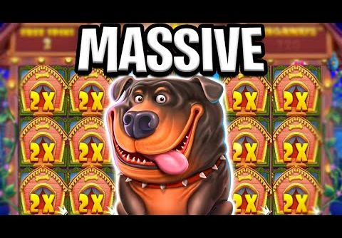 THE DOG HOUSE 🔥 HUGE BIG WIN ON MAX BET 🤑 OMG MUST SEE‼️