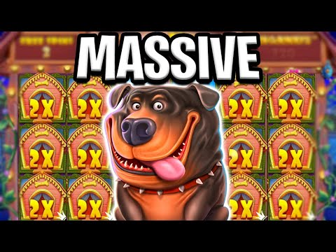 THE DOG HOUSE 🔥 HUGE BIG WIN ON MAX BET 🤑 OMG MUST SEE‼️