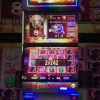 Buffalo Gold Super Big Win Slot Machine Bonus x2 x3 x3 Multipliers