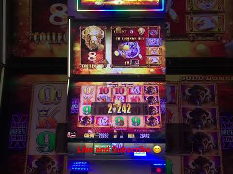 Buffalo Gold Super Big Win Slot Machine Bonus x2 x3 x3 Multipliers