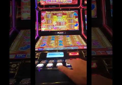 👑EGT ‘40SHINING CROWN’ Slot Big Win | Live Game | Let the Crown Shine upon us #lasvegas #usa #hit