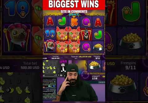 Roshtein Big Win!! #roshtein #casino #slots #gambling #bigwin #biggestwin