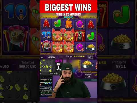 Roshtein Big Win!! #roshtein #casino #slots #gambling #bigwin #biggestwin