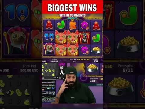 Roshtein Big Win!! #roshtein #casino #slots #gambling #bigwin #biggestwin