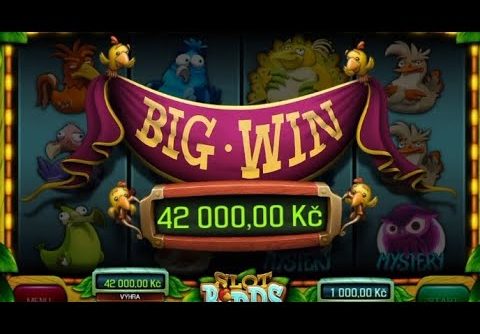 🎰SLOT BIRDS 81🎰BET 1000KČ🤑 CO TO ❓❗ KRÁSNÝ BIG WIN A DALŠÍ BIG WIN ❗😱😱😱