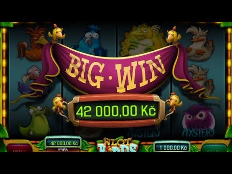 🎰SLOT BIRDS 81🎰BET 1000KČ🤑 CO TO ❓❗ KRÁSNÝ BIG WIN A DALŠÍ BIG WIN ❗😱😱😱