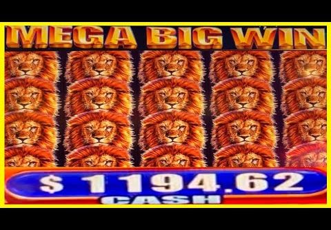 **MEGA HUGE WINS!!!** INSANE PROFIT!!! King of Africa WMS Slot Machine Bonus Wins