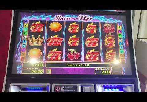 Bookies slots UK Burn up 777 £2 bonus big win