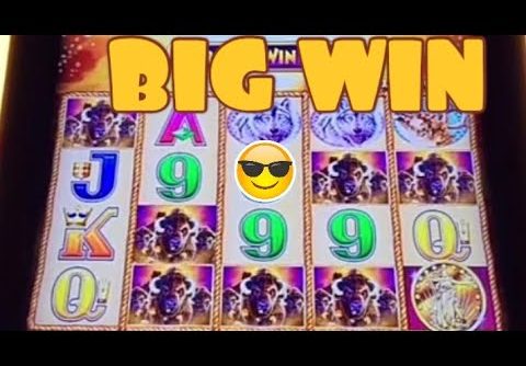 BIG WIN ON BUFFALO GOLD SLOT MACHINE BONUS