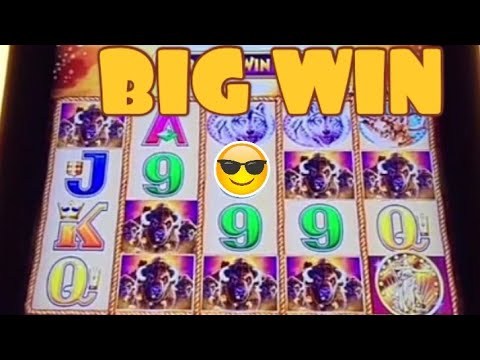 BIG WIN ON BUFFALO GOLD SLOT MACHINE BONUS