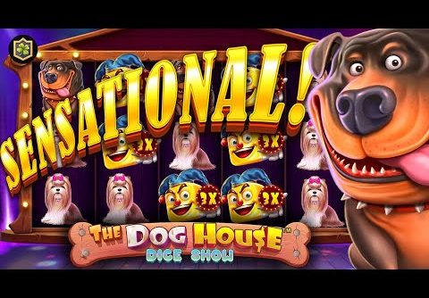 WOW!! Slot BIG WIN 🔥 The Dog House Dice Show 🔥 from Pragmatic Play – Casino Supplier of Online Slots