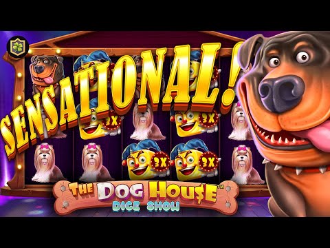 WOW!! Slot BIG WIN 🔥 The Dog House Dice Show 🔥 from Pragmatic Play – Casino Supplier of Online Slots