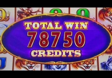 SUPER BIG 25X WIN ON BUFFALO ASCENSION #win #casino #download #slot #slotman #tiktok #chumashcasino