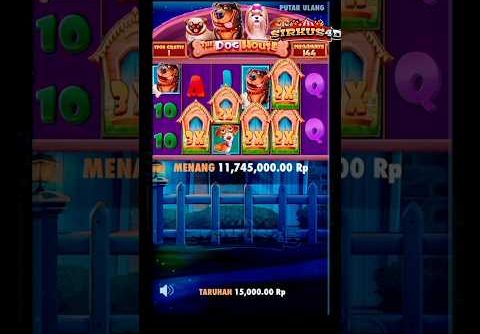 slot gacor hari ini💥 the dog house megaways big win ⁉️rtp slot gacor hari ini #shorts #slot #shorts