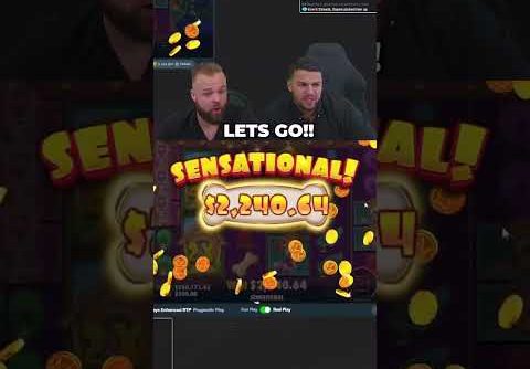 DOG HOUSE MEGAWAYS SLOT PAYS US ABSOLUTELY INSANE! #slots #casino #bigwin