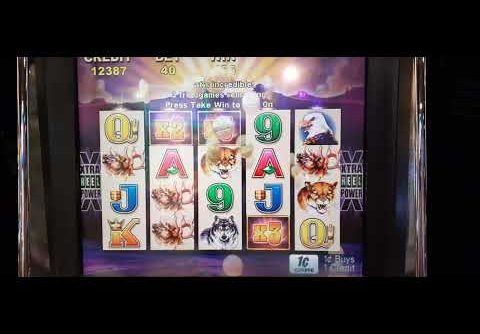 BUFFALO SLOT 8 SPIN BONUS BIG WIN!